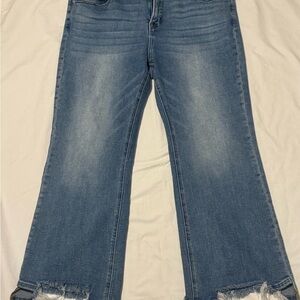 Risen Women’s Jeans Size 2X Blue Mid Rise Distressed Raw Hem Stretch Denim